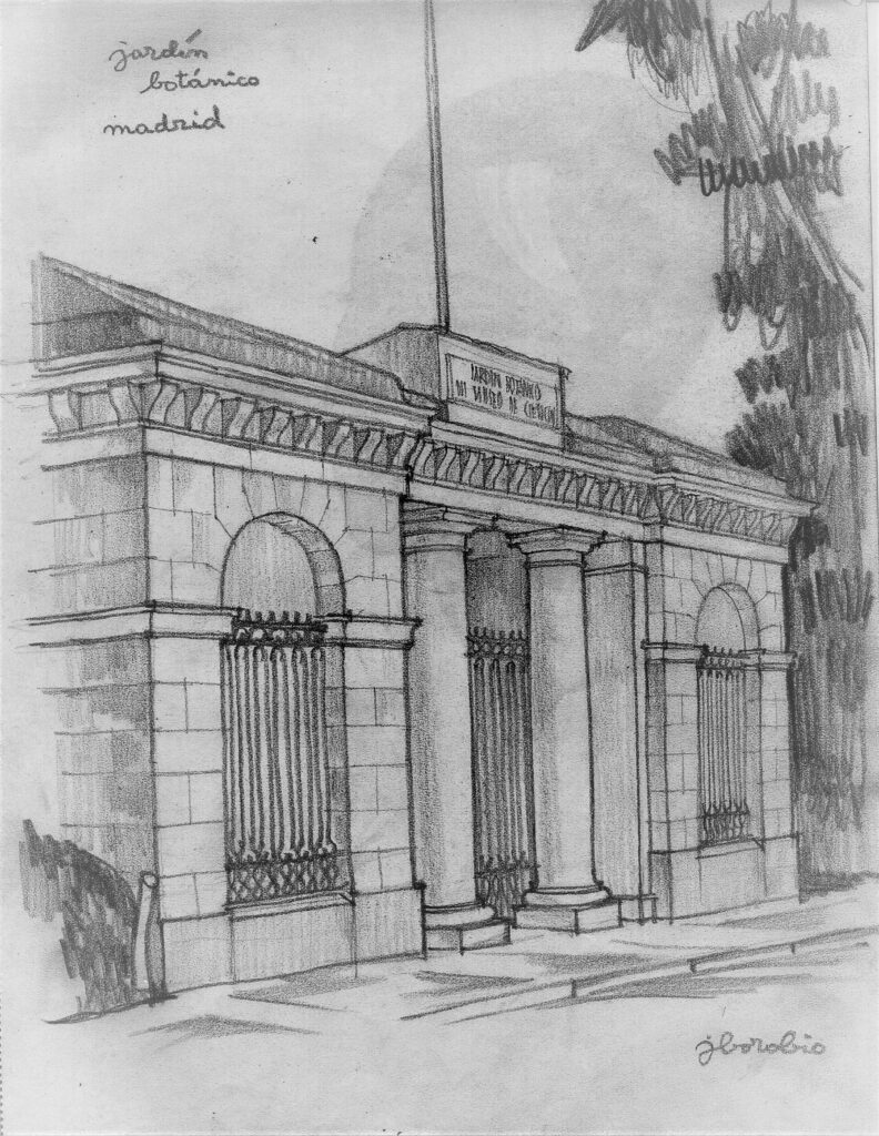 Jardín Botánico. Madrid. José Borobio.